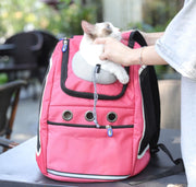 Cat bag pet outing backpack