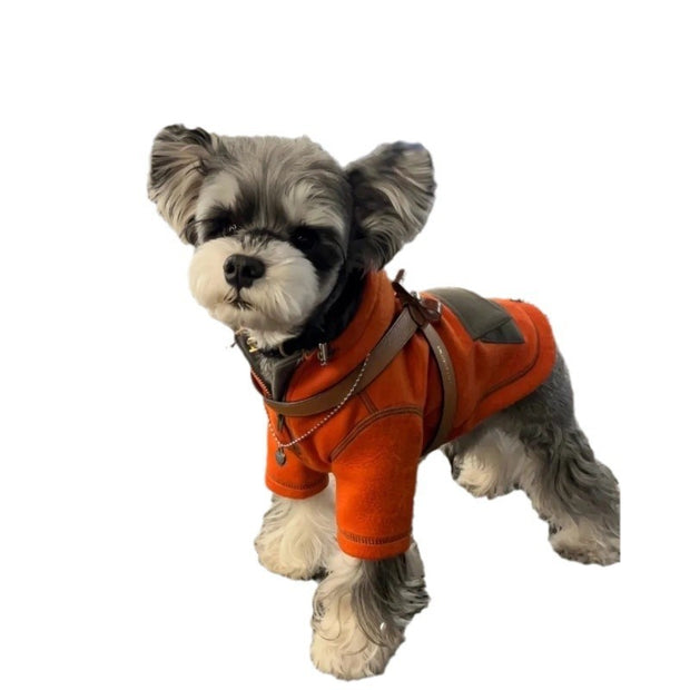 Pet Small Dog Autumn Clothing Two Feet Apparel Hooded Sweater