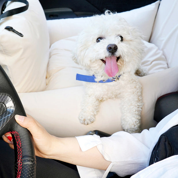 Simple Fashion And Creative Pet Car Carrier