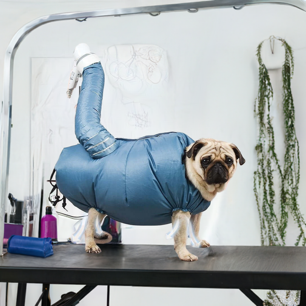 Automatic Drying Bag With Quick Drying Hair Dryer For Bathing